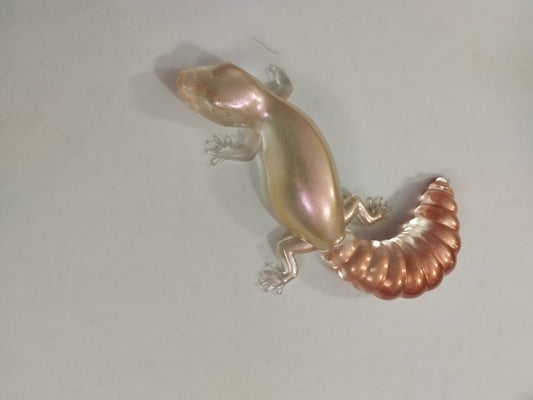 Gecko holographique