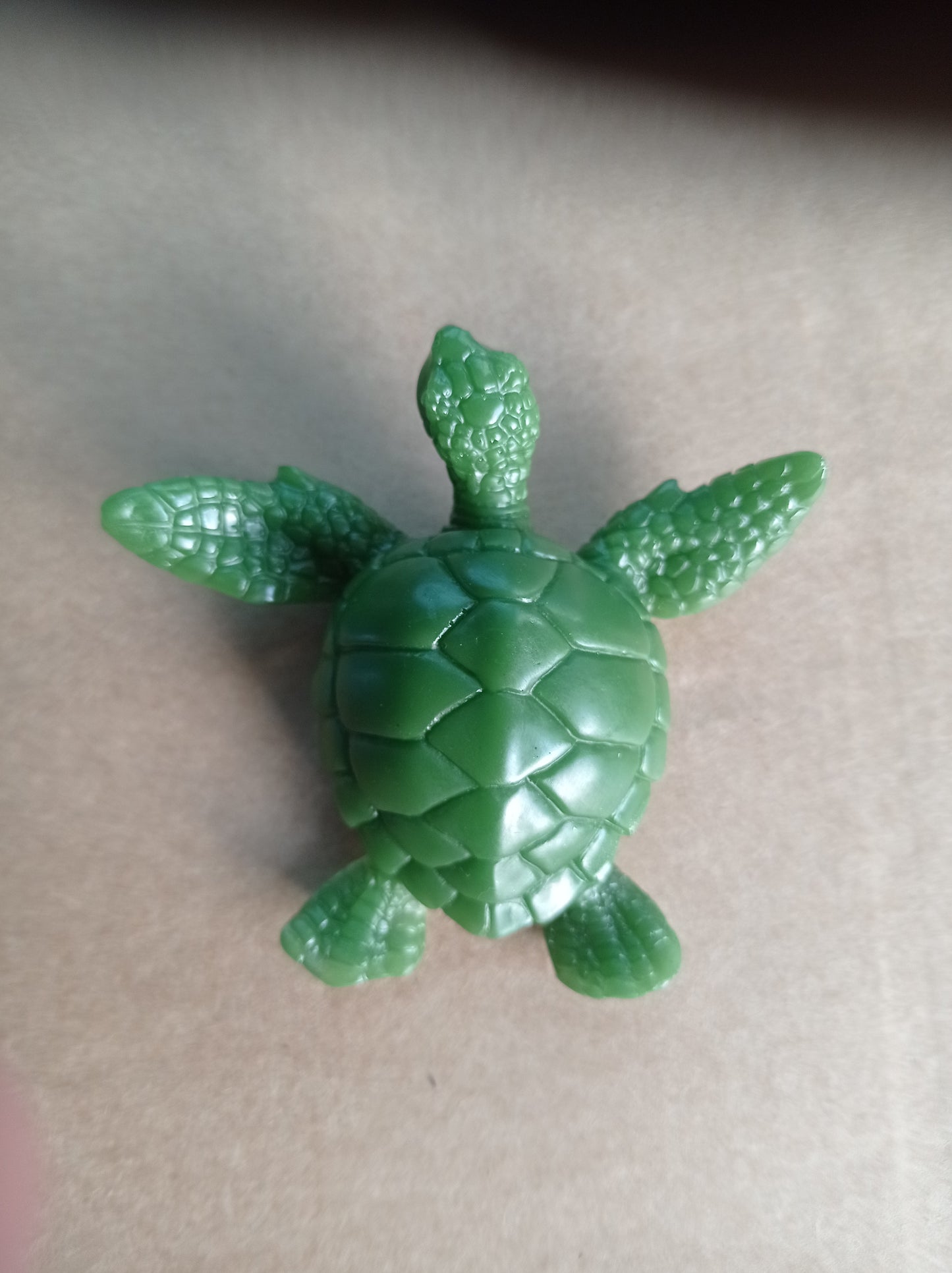 Tortue taille moyenne