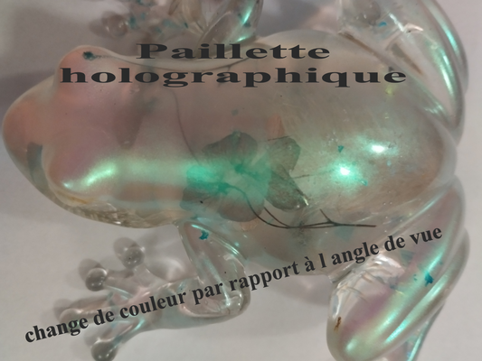 Grenouille holographique